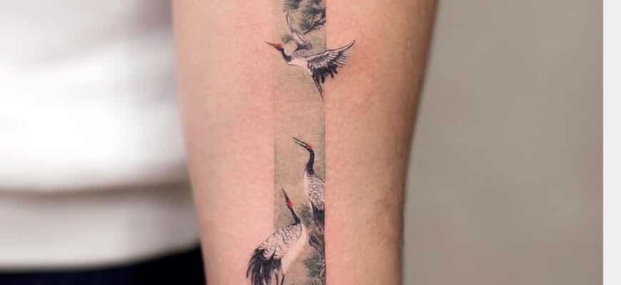 Chinese crane tattoo